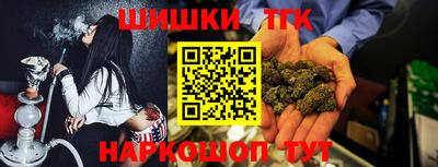 spice Камышлов