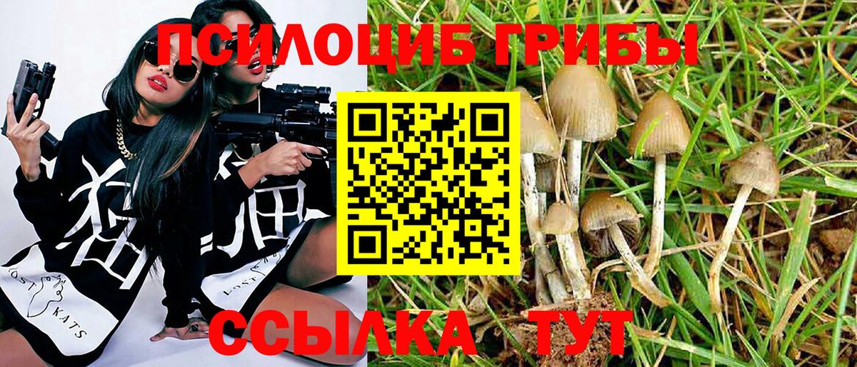 Дивногорск  Псилоцибиновые грибы MAGIC MUSHROOMS  Вход с VPN  Псилоцибиновые грибы Magic Shrooms 